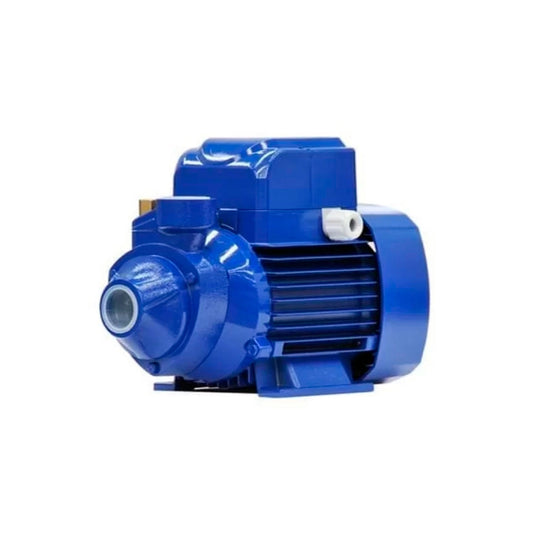 MOTO BOMBA P500 TRIF - KSB (PC)