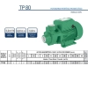 MOTOBOMBA THEBE TP80 1,0 CV  MONO  IP44 127/220V - THEBE 