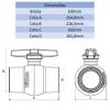 REGISTRO DE PVC 100MM - VIQUA 